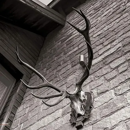 Здравен курорт Forest Houses,форест хаусис Godech