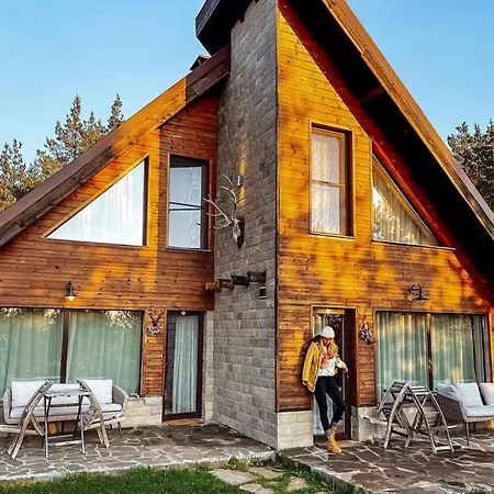 Forest Houses,форест хаусис *