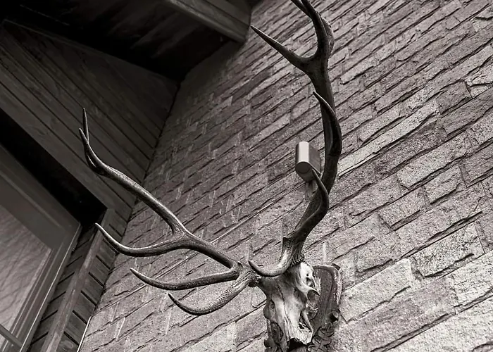 Здравен курорт Forest Houses,форест хаусис Godech