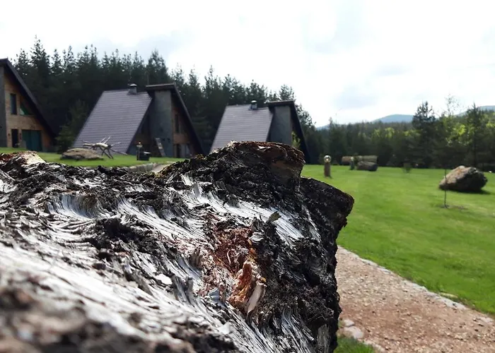 Forest Houses,форест хаусис Resort Godech